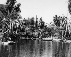 "Gilligan's Island" Lagoon 1965