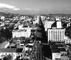 Hollywood Blvd. 1949