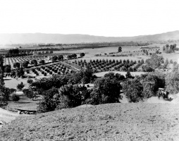 Los Feliz 1896