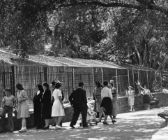 Animal Enclosures 1944