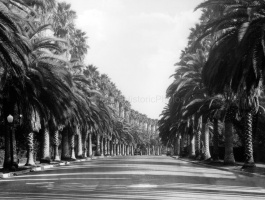 Beverly Hills 1942