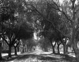 Marengo Avenue 1896