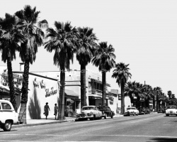 Palm Canyon Drive 1950