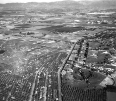 Woodland Hills 1949 #2