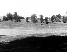 Woodland Hills 1951 #3