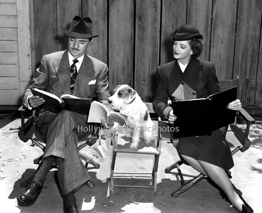 Stars & Pets