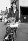 Audrey Hepburn 1961