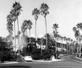 Beverly Hills Hotel 1960