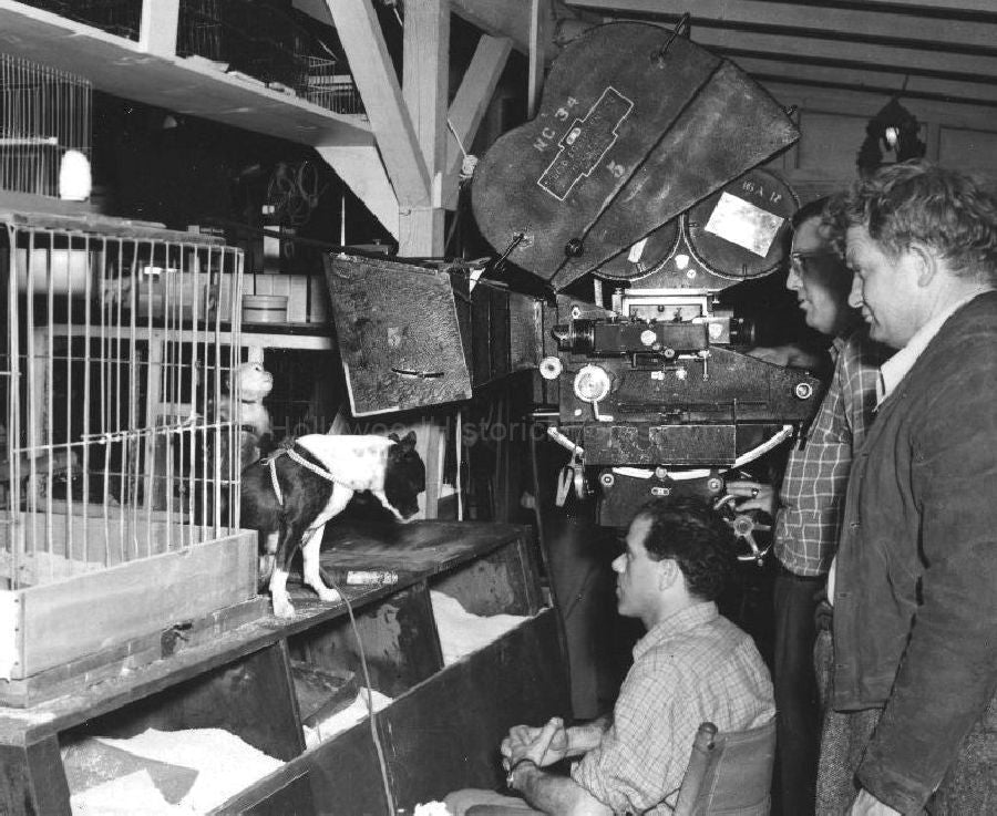 Frank Capra 1939 #16