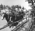 Disneyland 1960