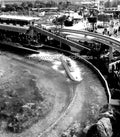 Disneyland 1962