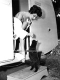 Elizabeth Taylor 1951 #3
