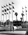 New Los Angeles Zoo 1972