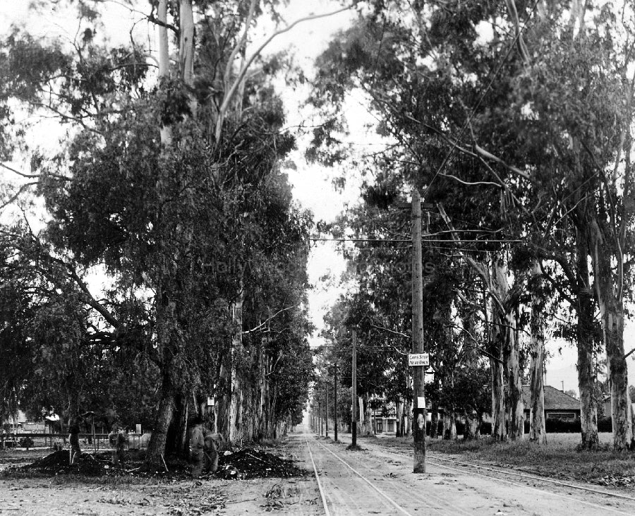 Hollywood 1902