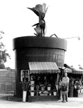 Hollywood Flower Pot 1931