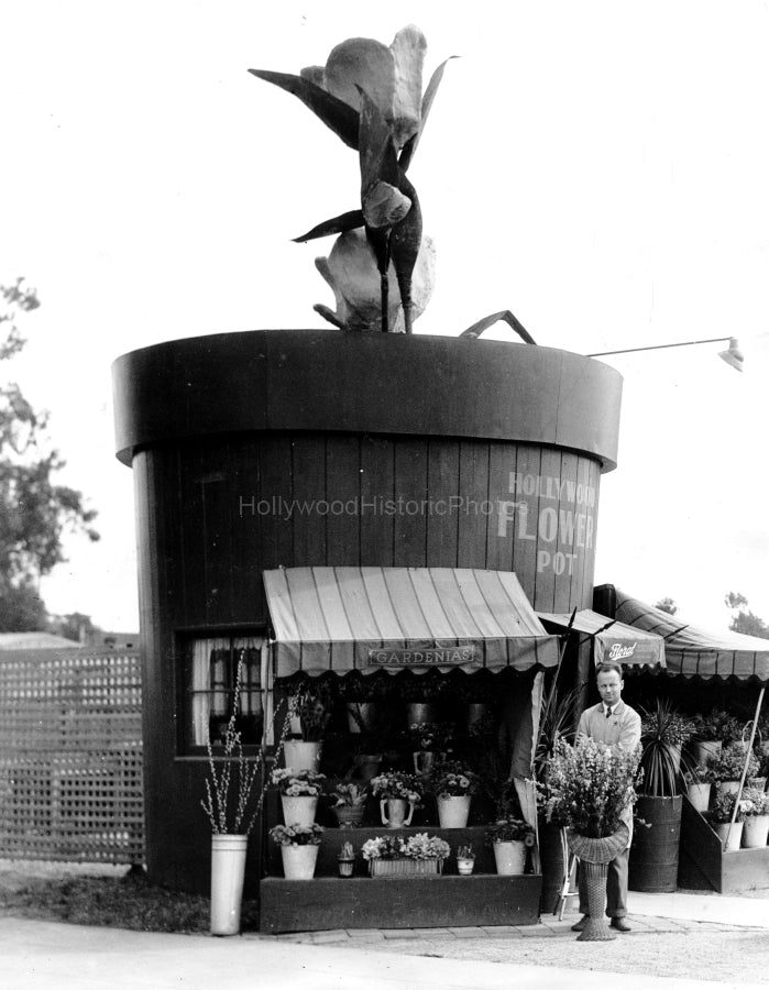 Hollywood Flower Pot 1931