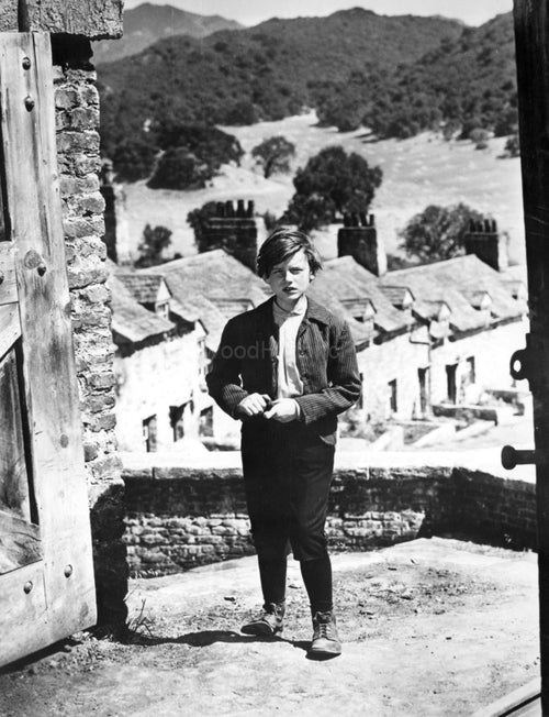 "How Green Was My Valley" 1941 #06
