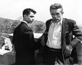 "Rebel Without A Cause" 1955 #5