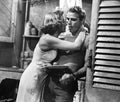 Marlon Brando 1951 #3
