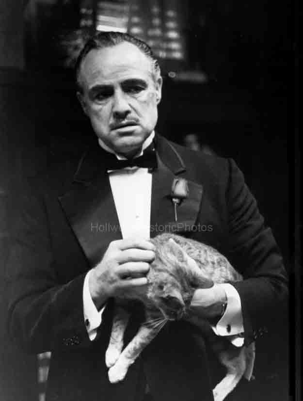 Marlon Brando 1972 #4