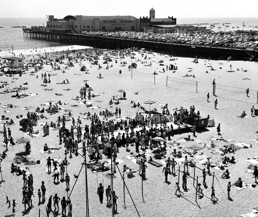 Muscle Beach 1954