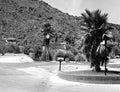 The Tennis Club 1954 #2