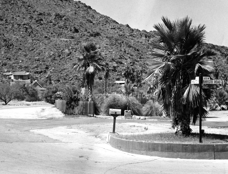 The Tennis Club 1954 #2