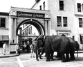 Paramount Pictures 1954