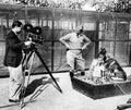 Rin Tin Tin 1927