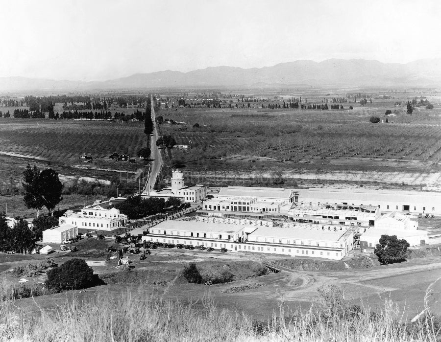 Universal Studios 1915
