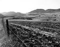 Thousand Oaks 1957 #2