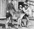 Mixville 1919