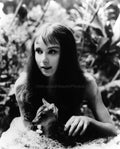 Audrey Hepburn 1959 #2