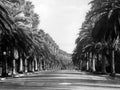 Beverly Hills 1942