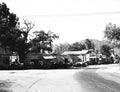 Calabasas 1955 #2