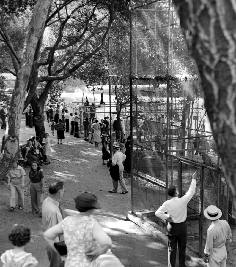 Monkey Enclosure 1939