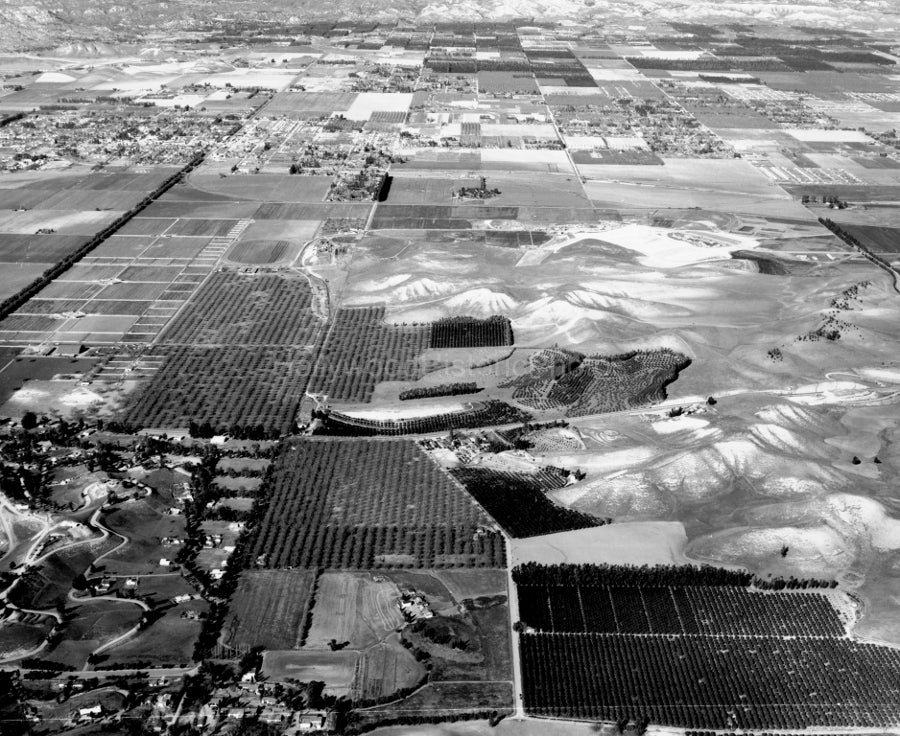 Woodland Hills 1951 #1